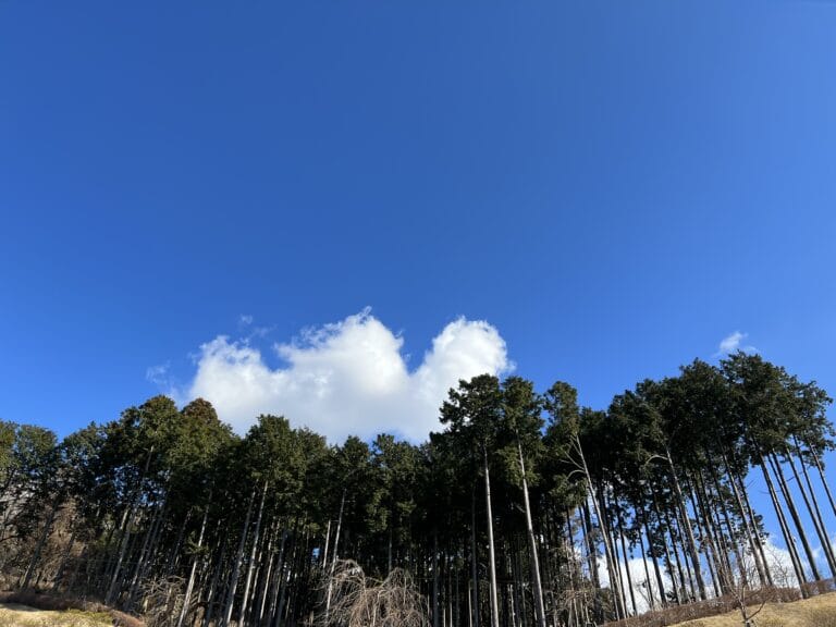 夏休みの営業時間のご案内